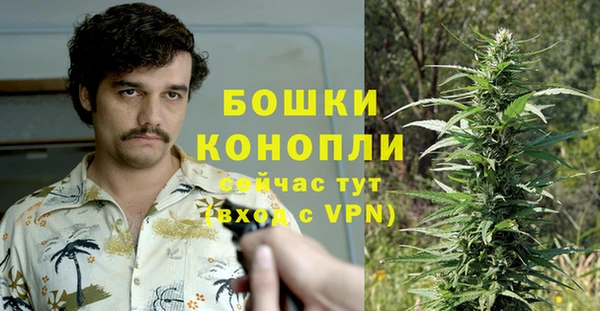 ешки Лагань