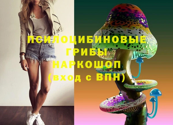 ешки Лагань